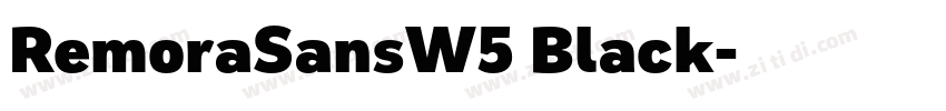 RemoraSansW5 Black字体转换